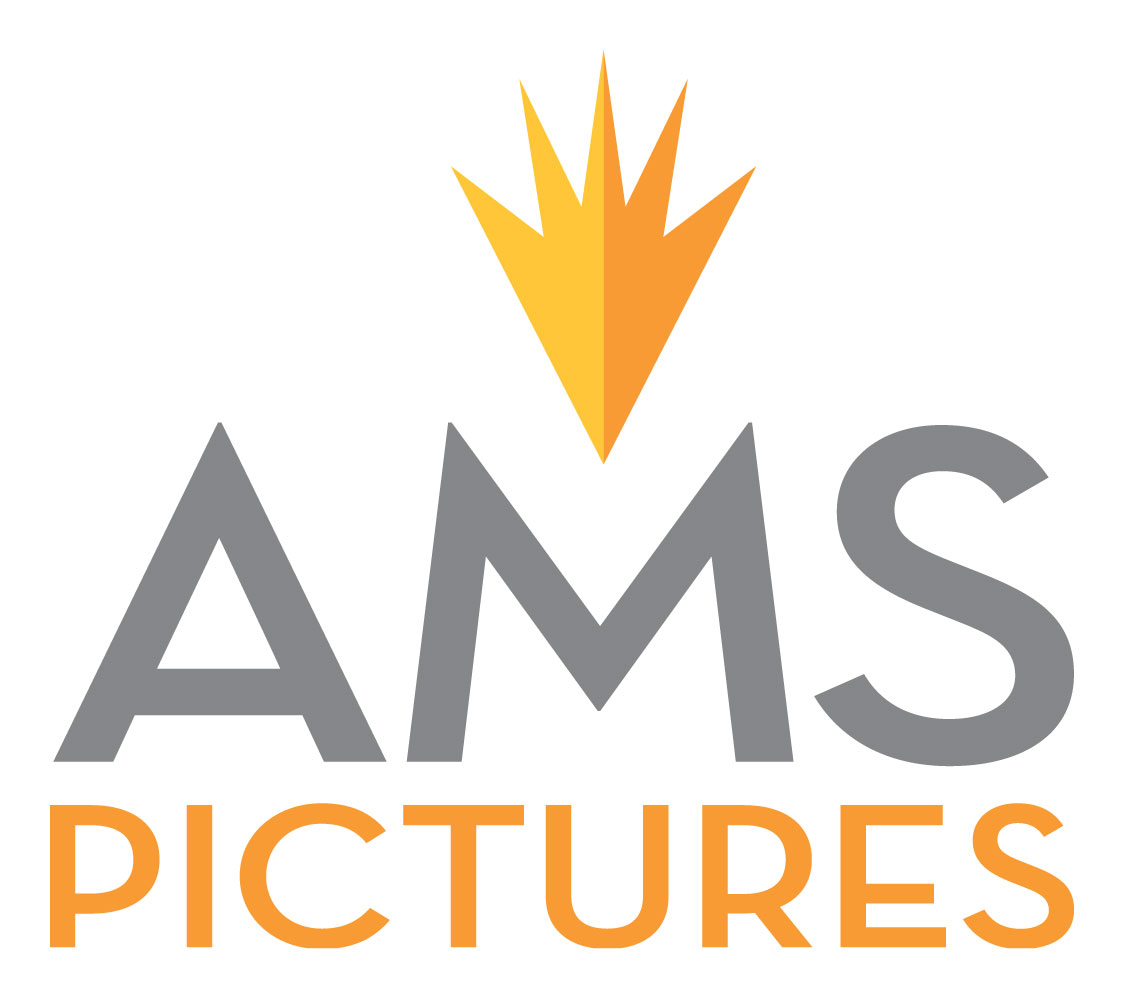 AMS Pictures