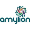 Amylion