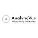 AnalyticVue