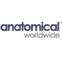 Anatomical Worldwide