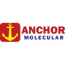 Anchor Molecular