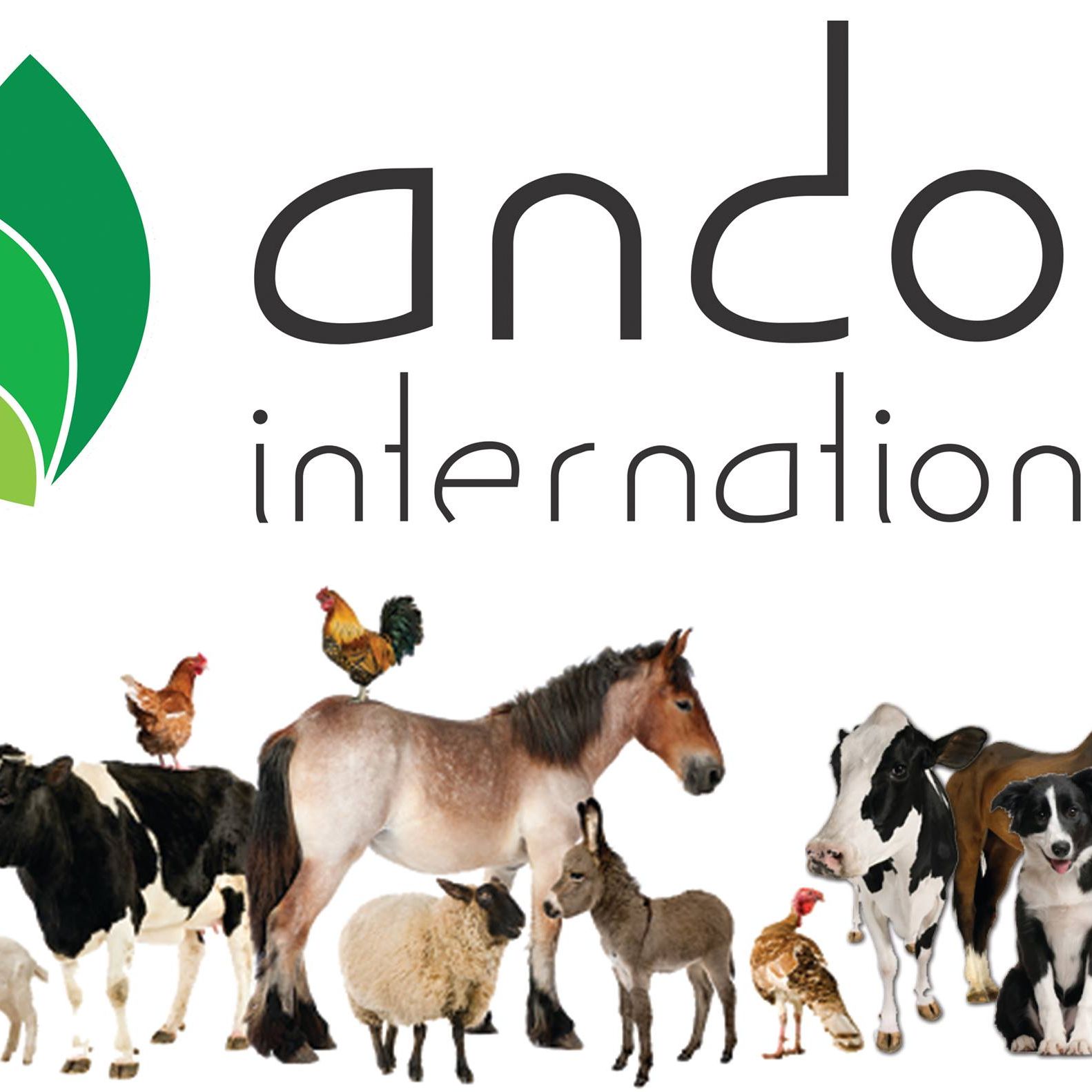 Andor International