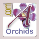 Andy's Orchids