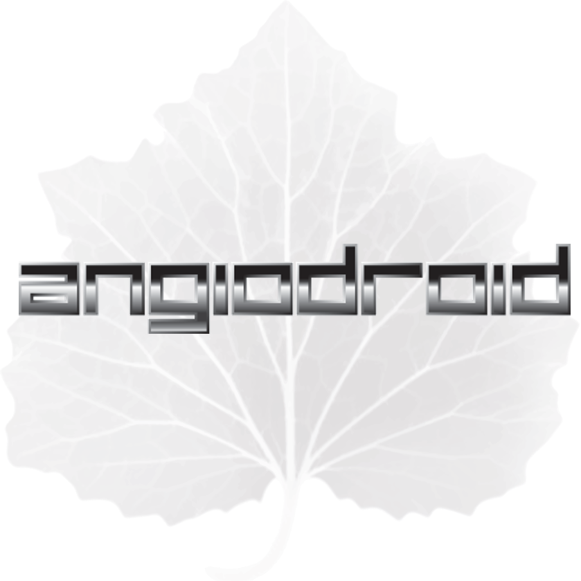 Angiodroid Srl