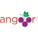 Angooor.Com