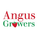 Angus Growers