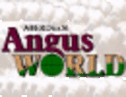 Angus World