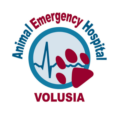 Animal Emergency Hospital Volusia