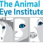 The Animal Eye Institute