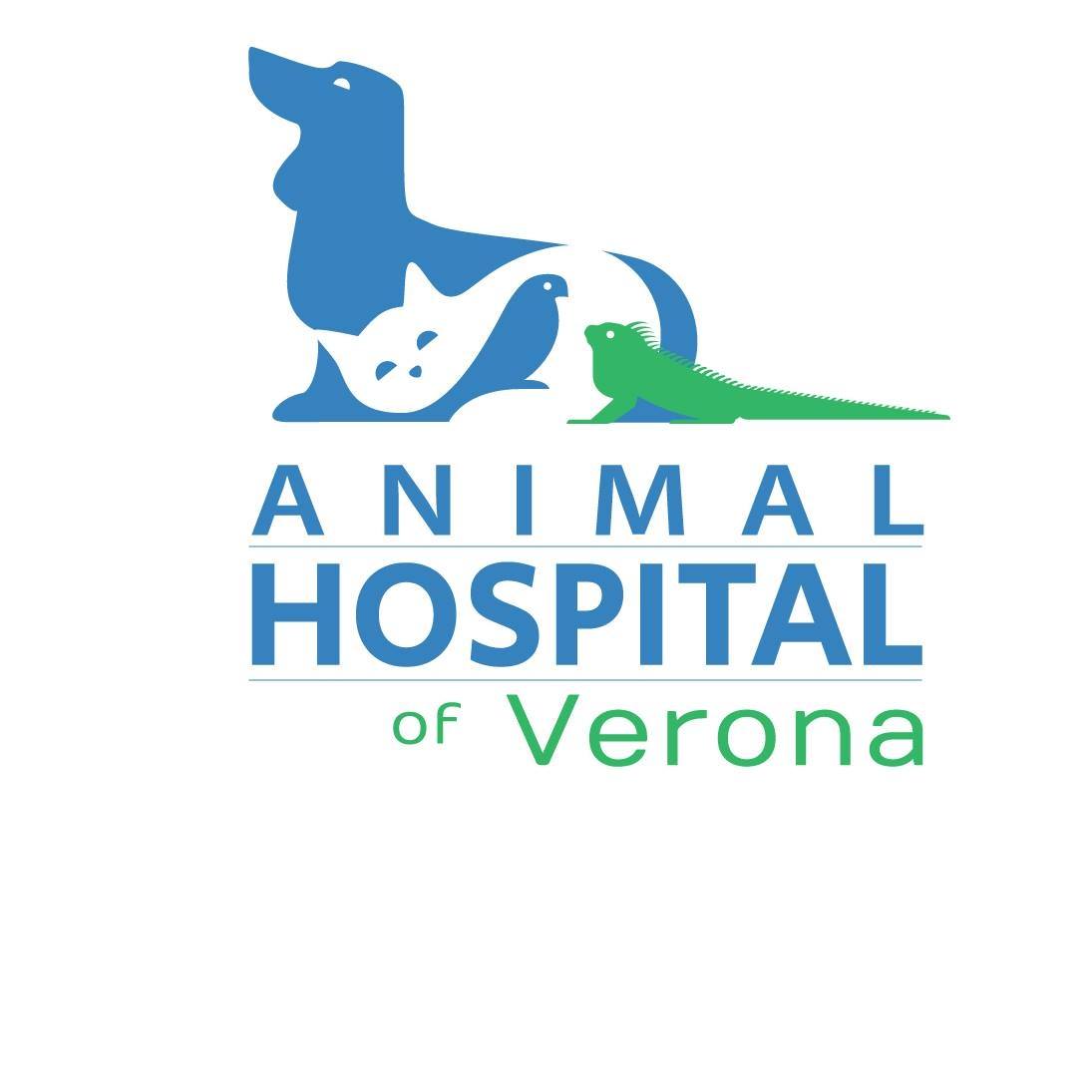 Animal Hospital of Verona