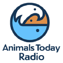 Animals Today Radio