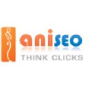 Ani SEO Consulting