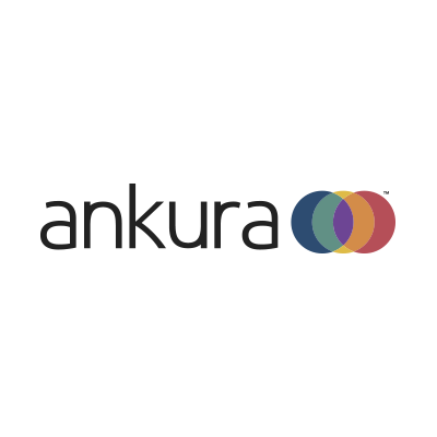 Ankura Consulting Group
