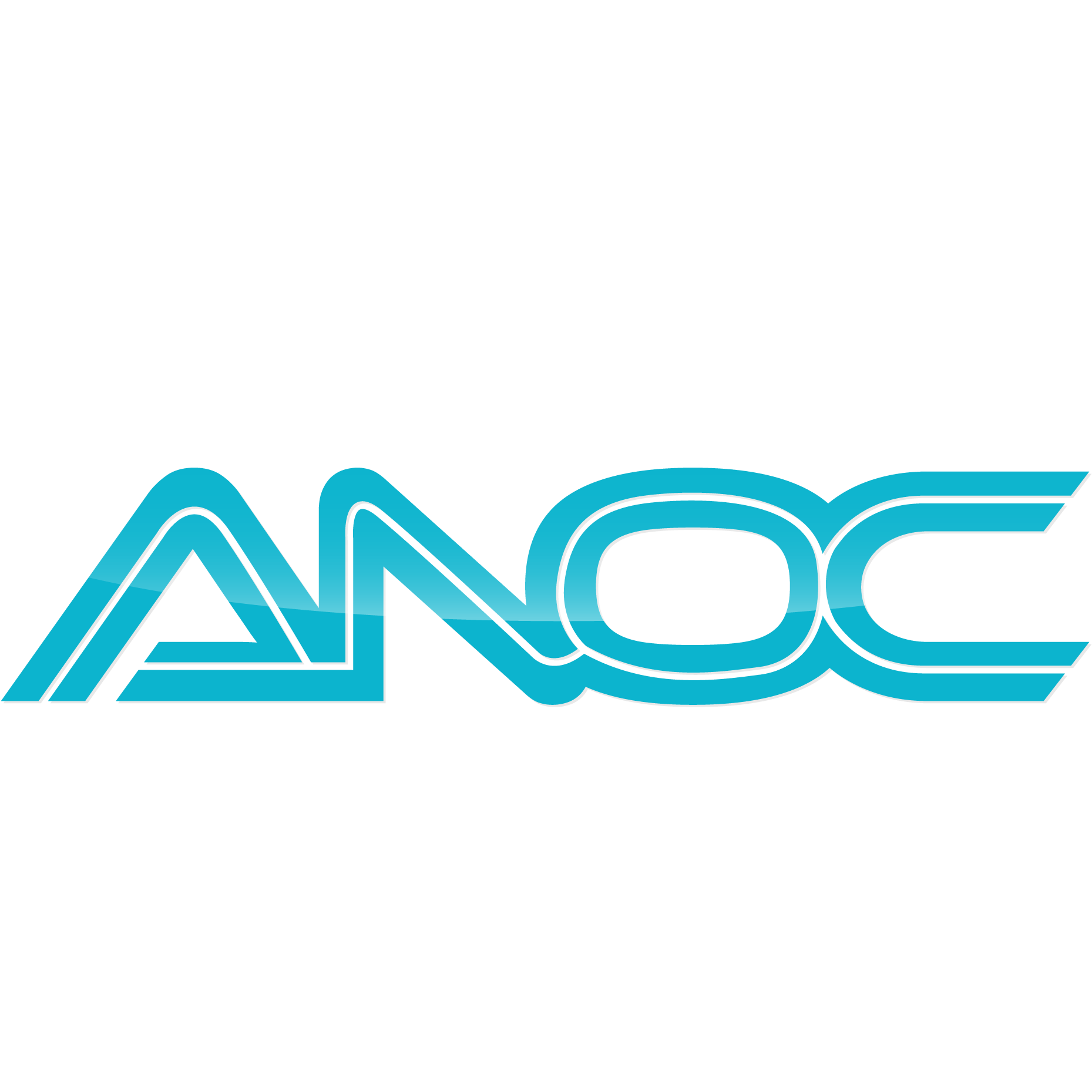 ANOC Management Consultancy