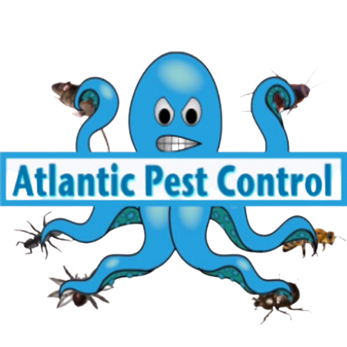 ATLANTIC PEST CONTROL