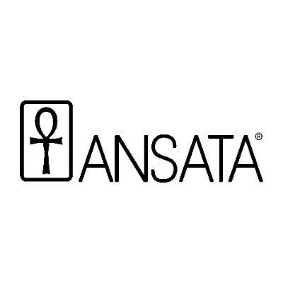 Ansata Computer Systems Pvt