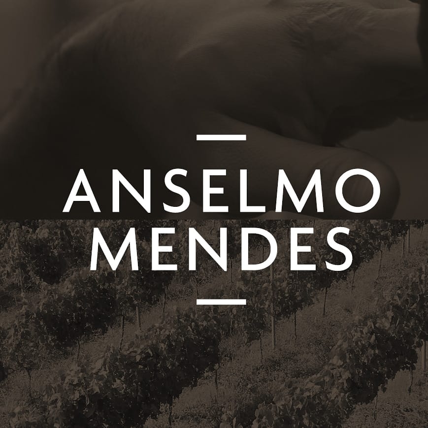 Anselmo Mendes