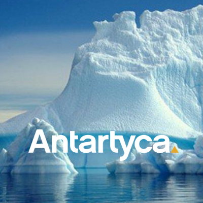 AntartycA Consulting