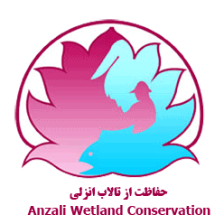 Anzali Wetland Ecological