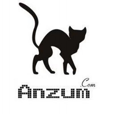 Anzum Digital