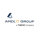 Apex IT Group