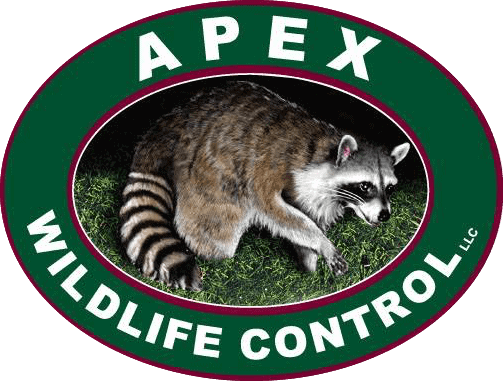 APEX Wildlife Control