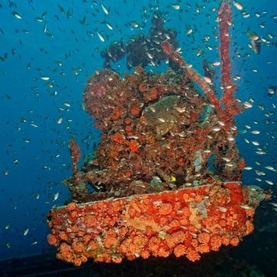 Aquanauts Grenada