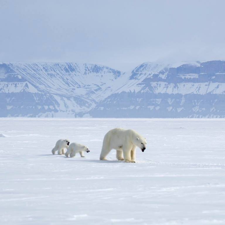 Arctic Bay Adventures