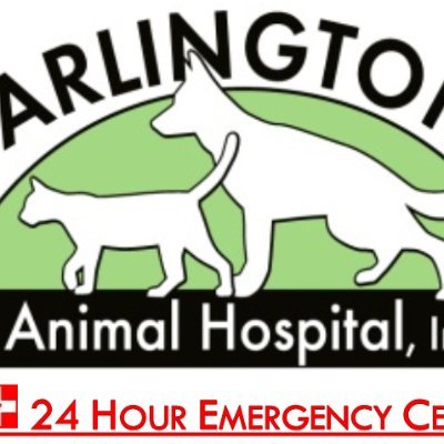 Arlington Animal Hospital