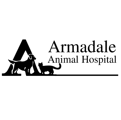 Armadale Animal Hospital