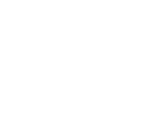 Artilaser: Shop Fitting