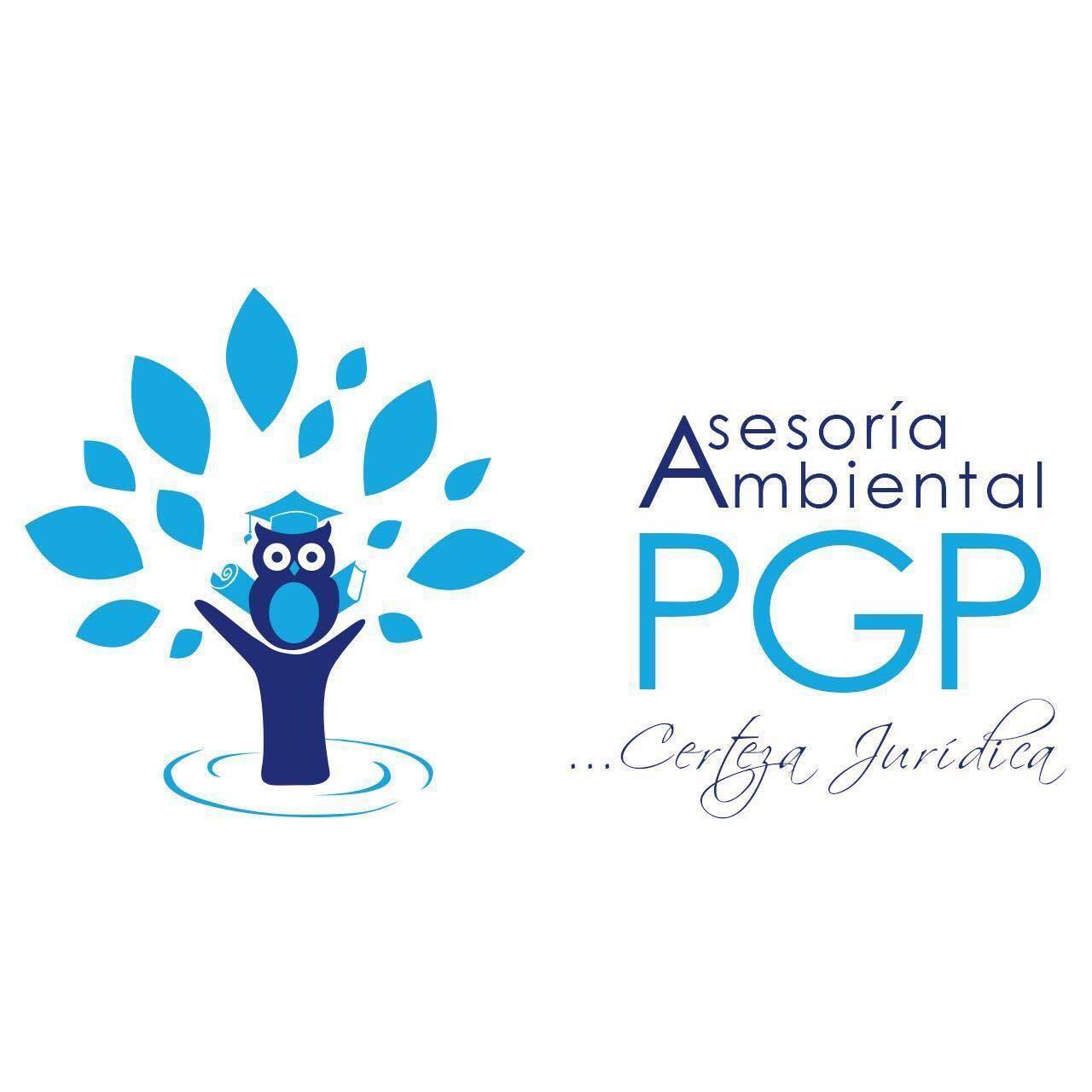 Asesoría Ambiental Pgp