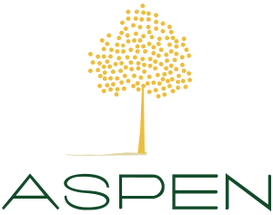 Aspen Analytics Aspen Analytics