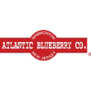 Atlantic Blueberry