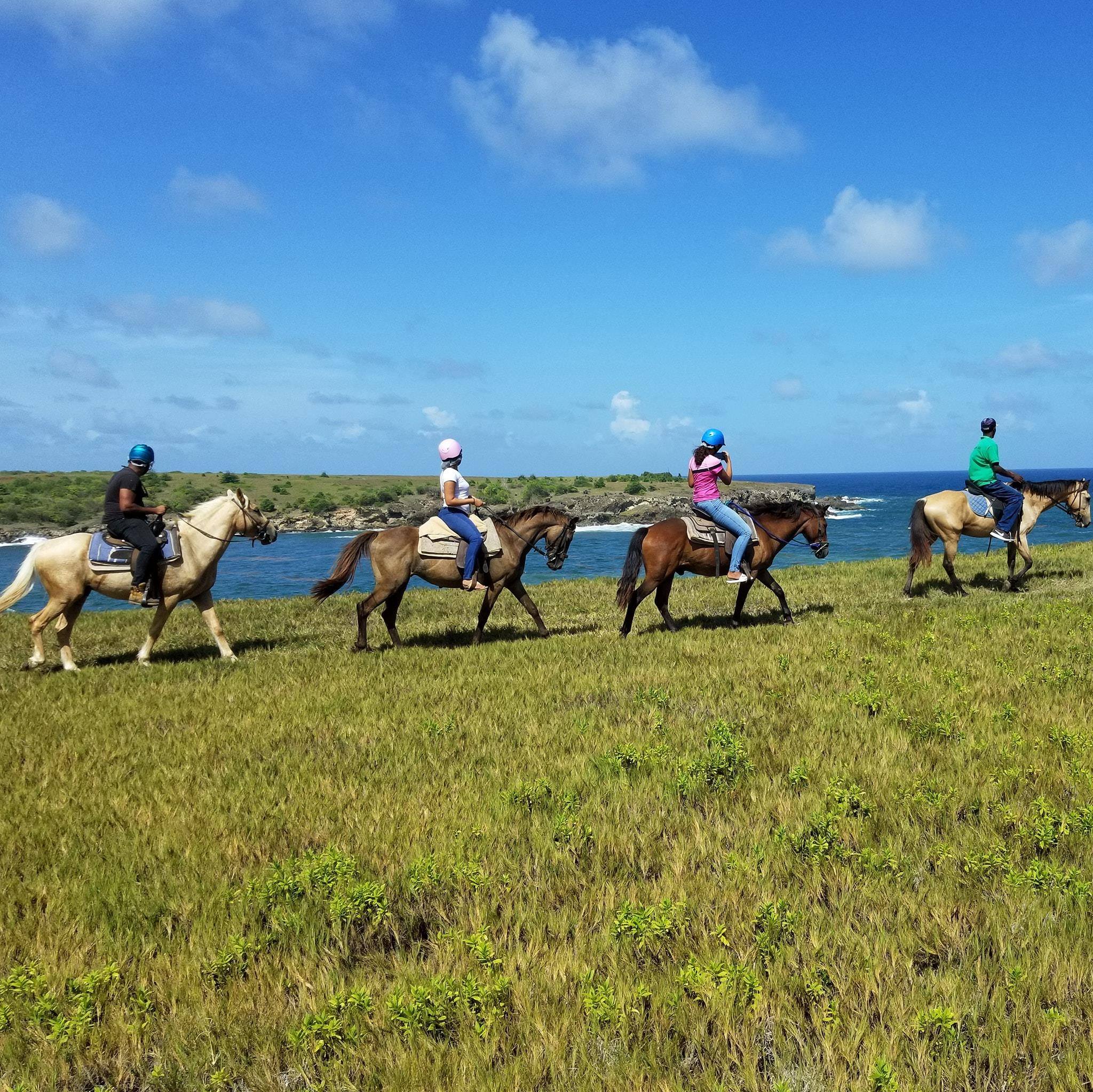 Atlantic Shores Riding Stables