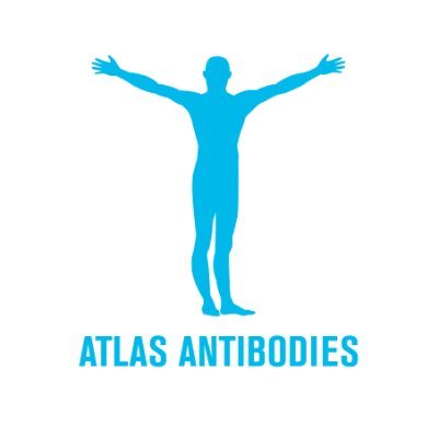 Atlas Antibodies