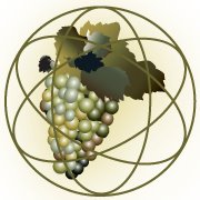 Atlas Vineyard Management