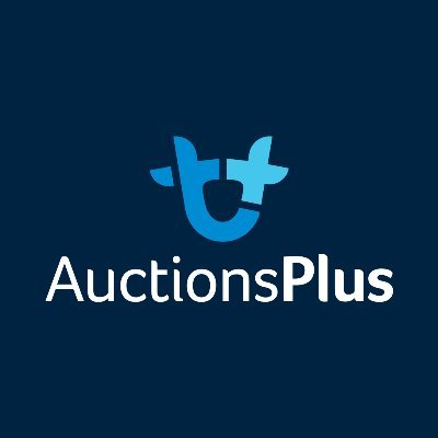 AuctionsPlus