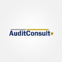 Audit Consult