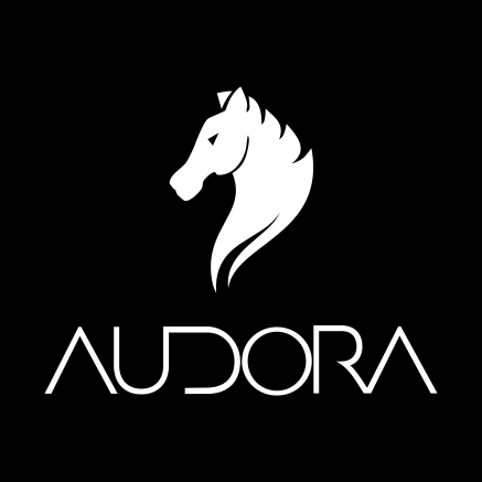 Audora Gerencial