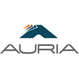 Auria Solutions profile photo