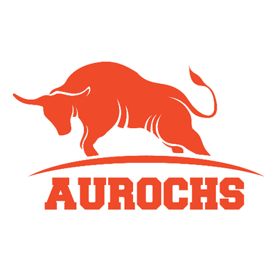 Aurochs Solutions