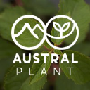 Austral Plant