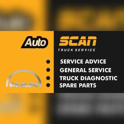 Auto Scan Truck Service