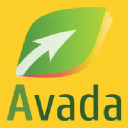 Avada