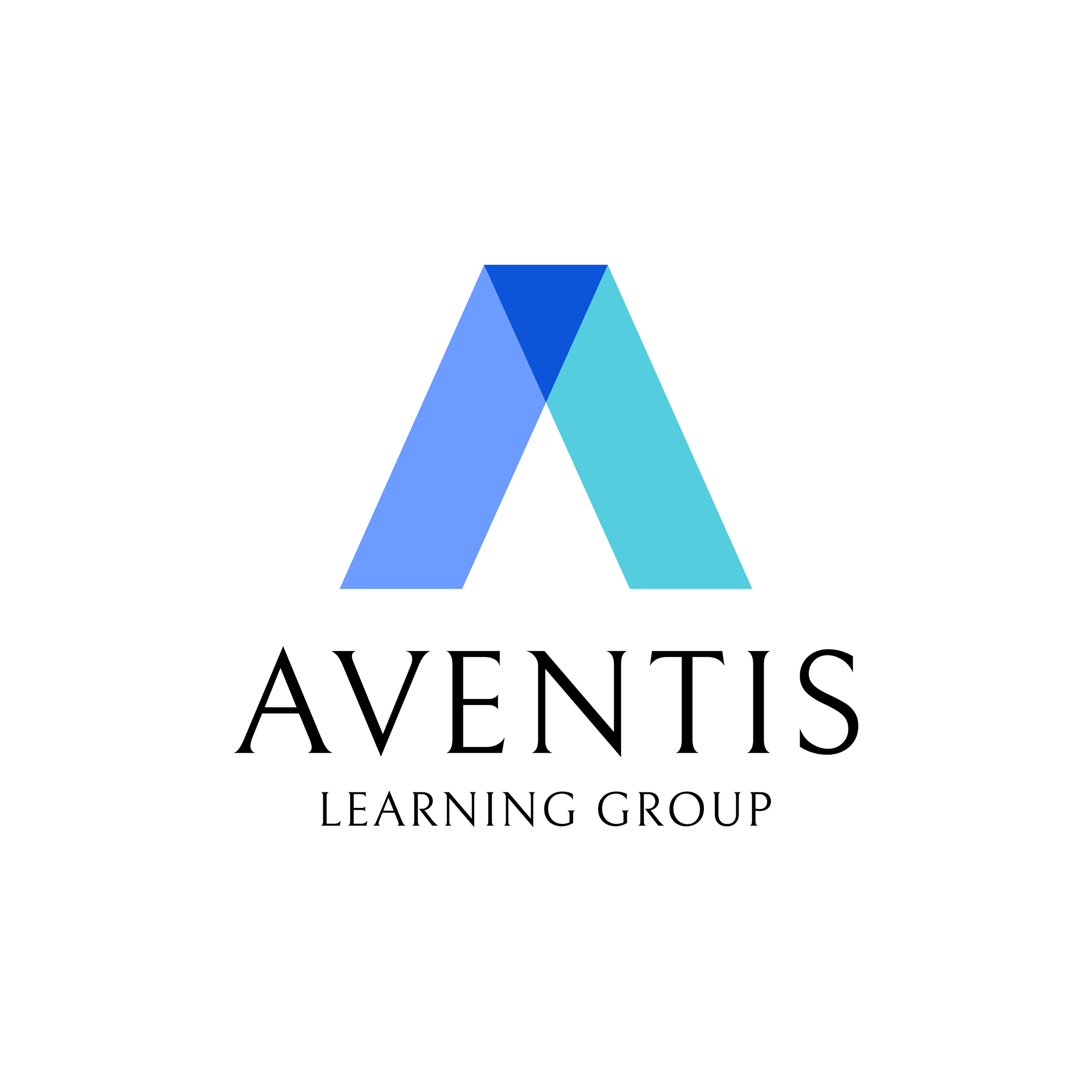 Aventis Learning Group