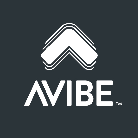 A Vibe Web Development