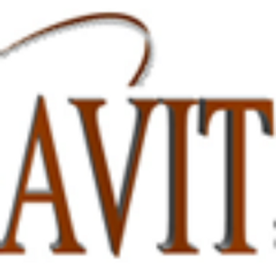 AVIT Systems