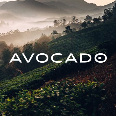 Avocado Mattress