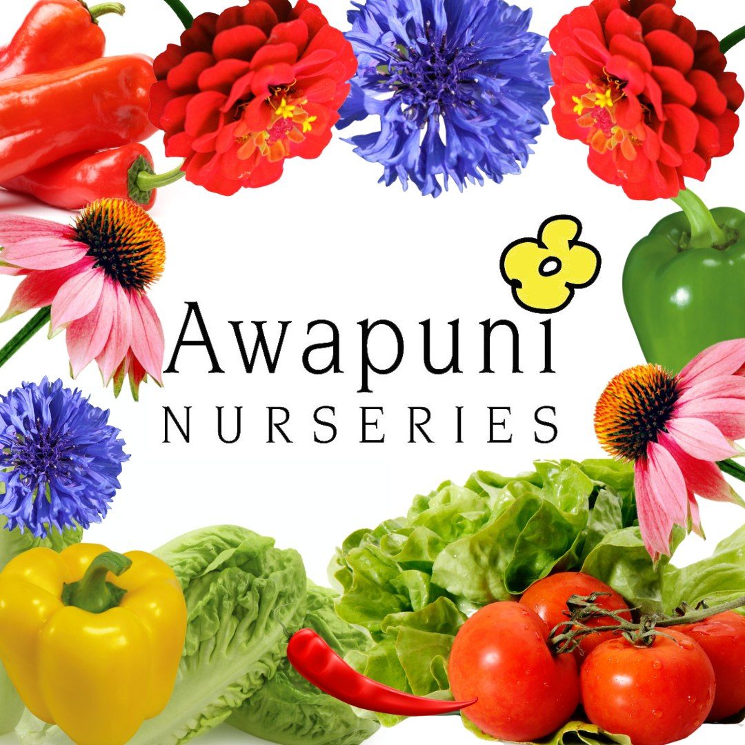 Awapuni Nurseries